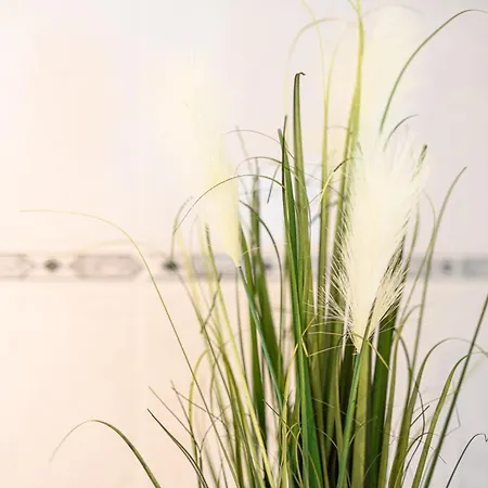 Apartament Zentrale, Ruhige Auf Dem Werder, 4 Personen *