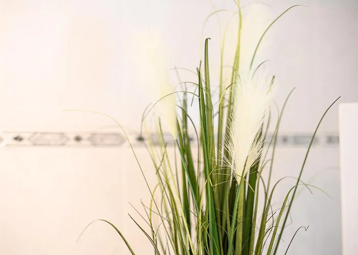 Apartman Zentrale, Ruhige Auf Dem Werder, 4 Personen *